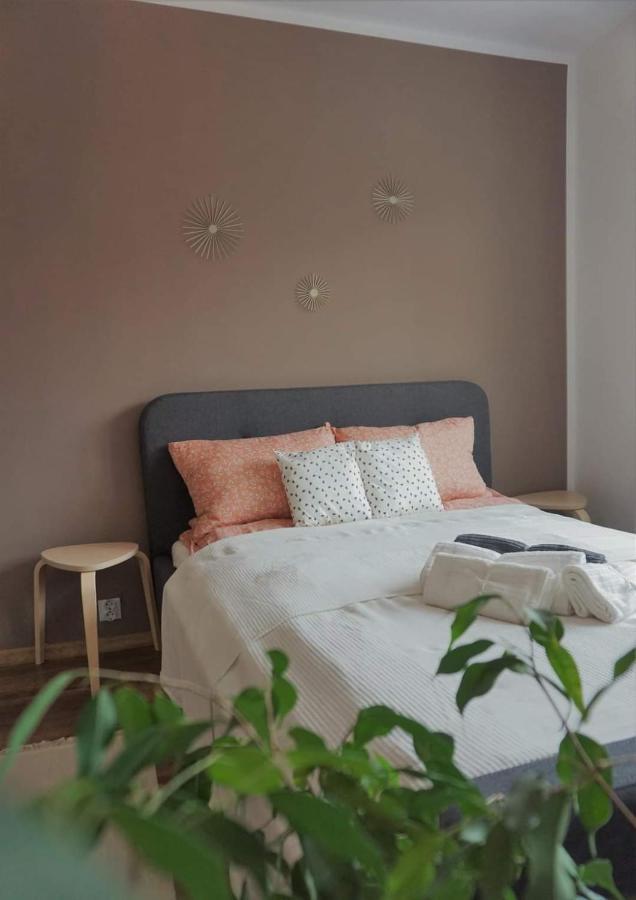 Cozy Apart Toplita 외부 사진
